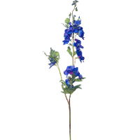 Zijde paarse delphinium